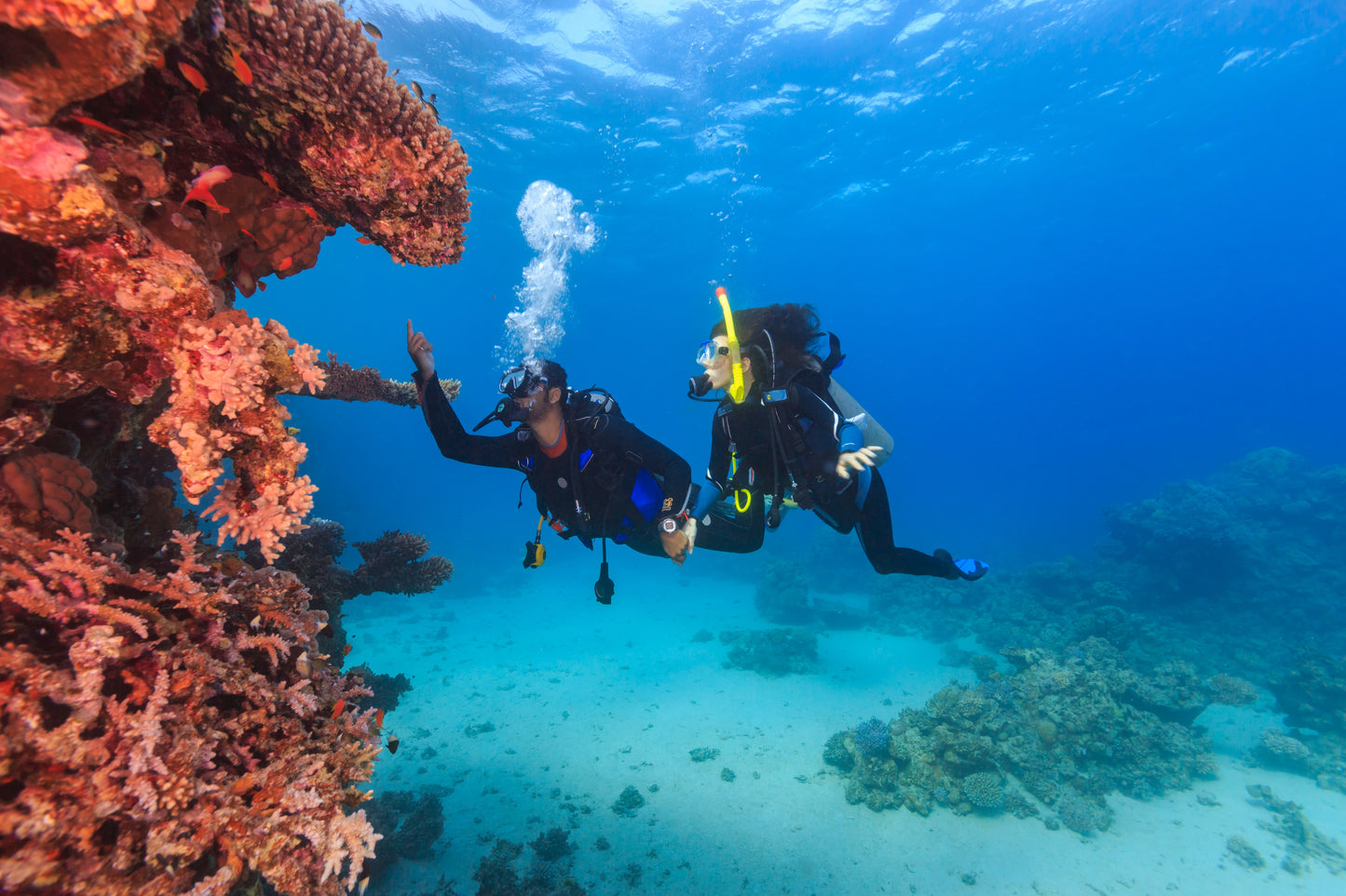 Discover Scuba Diving