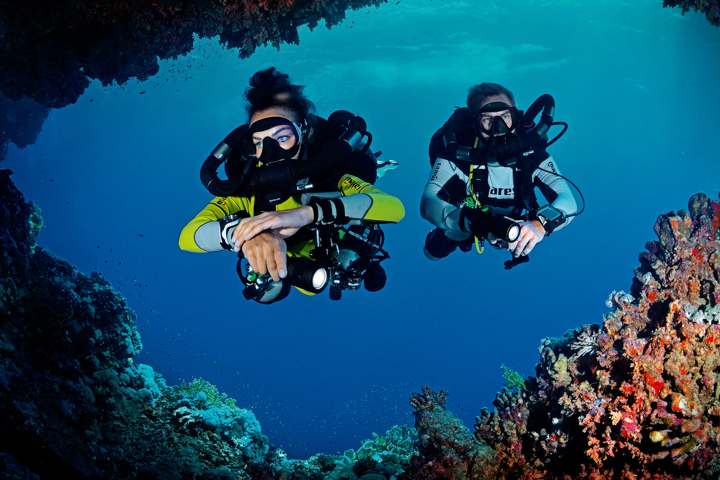 Campo maestro de buceo